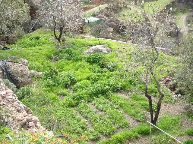 Houses for sale in San Bartolomé Interior