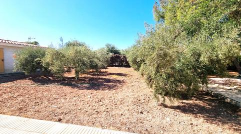 Foto 4 de Casa o xalet en venda a Vial Dels Holandesos, 25, Villamontes - Boqueres, Alicante