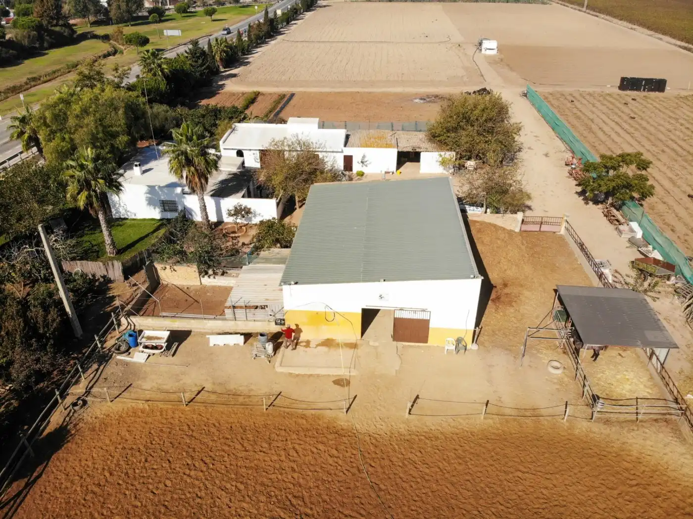 Vista exterior de Finca rústica en venta en Chipiona con Jardín privado y Terraza