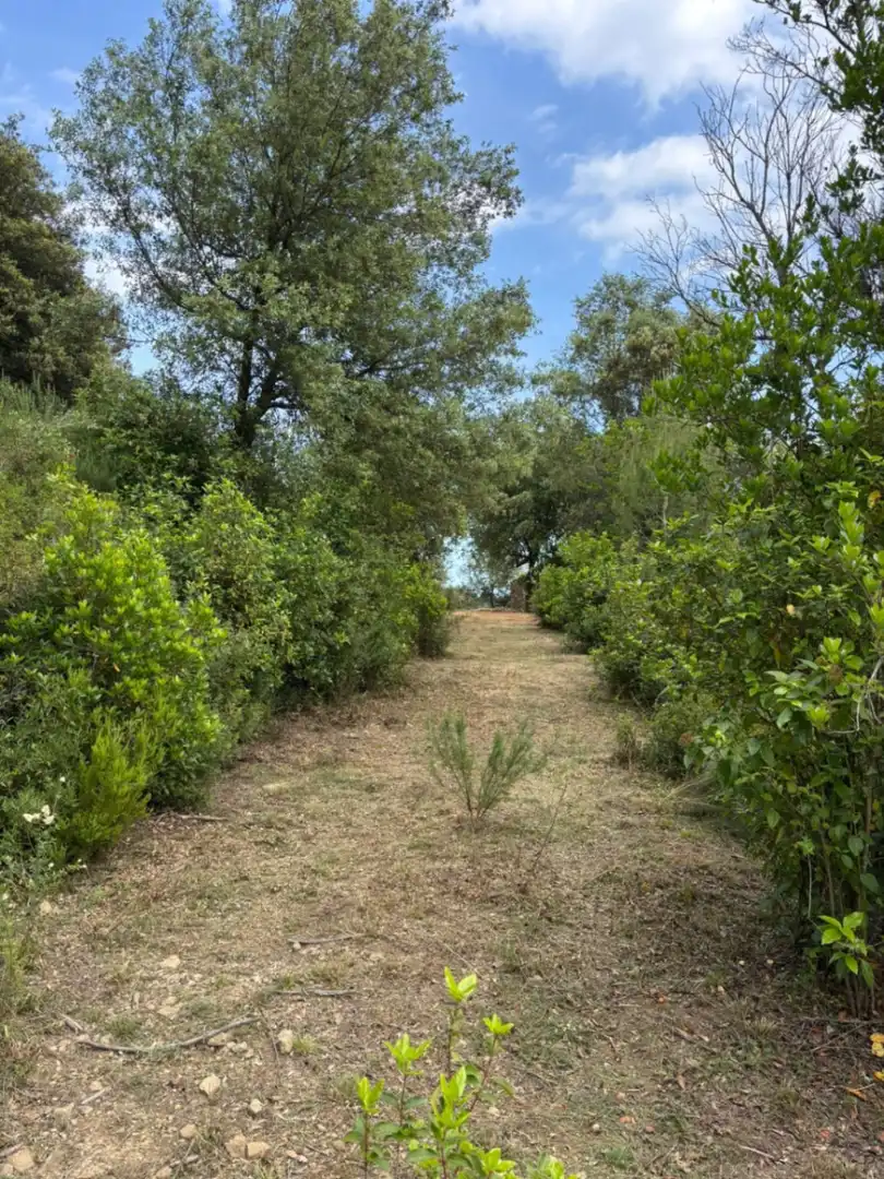 Finca rústica en venta en Palol de Revardit