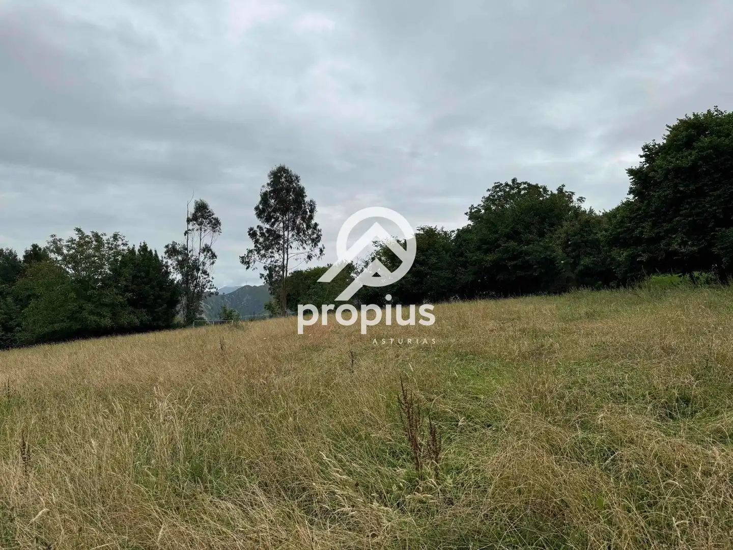 Rural land for sale in Arenas, imagen 16