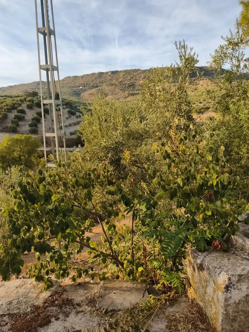Finca rústica en venta en Iznájar