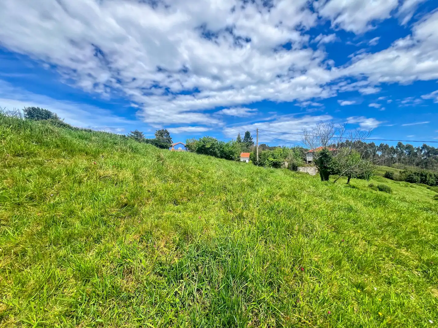 Lands and plots for sale in Pillarno, imagen 26