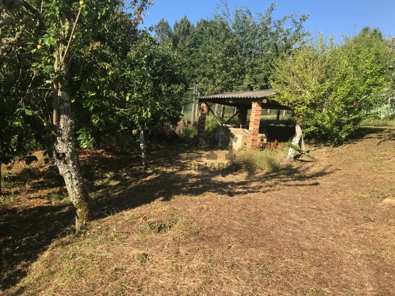 Casa con giardino in vendita a SEIXADA - SEARA, imagen 18