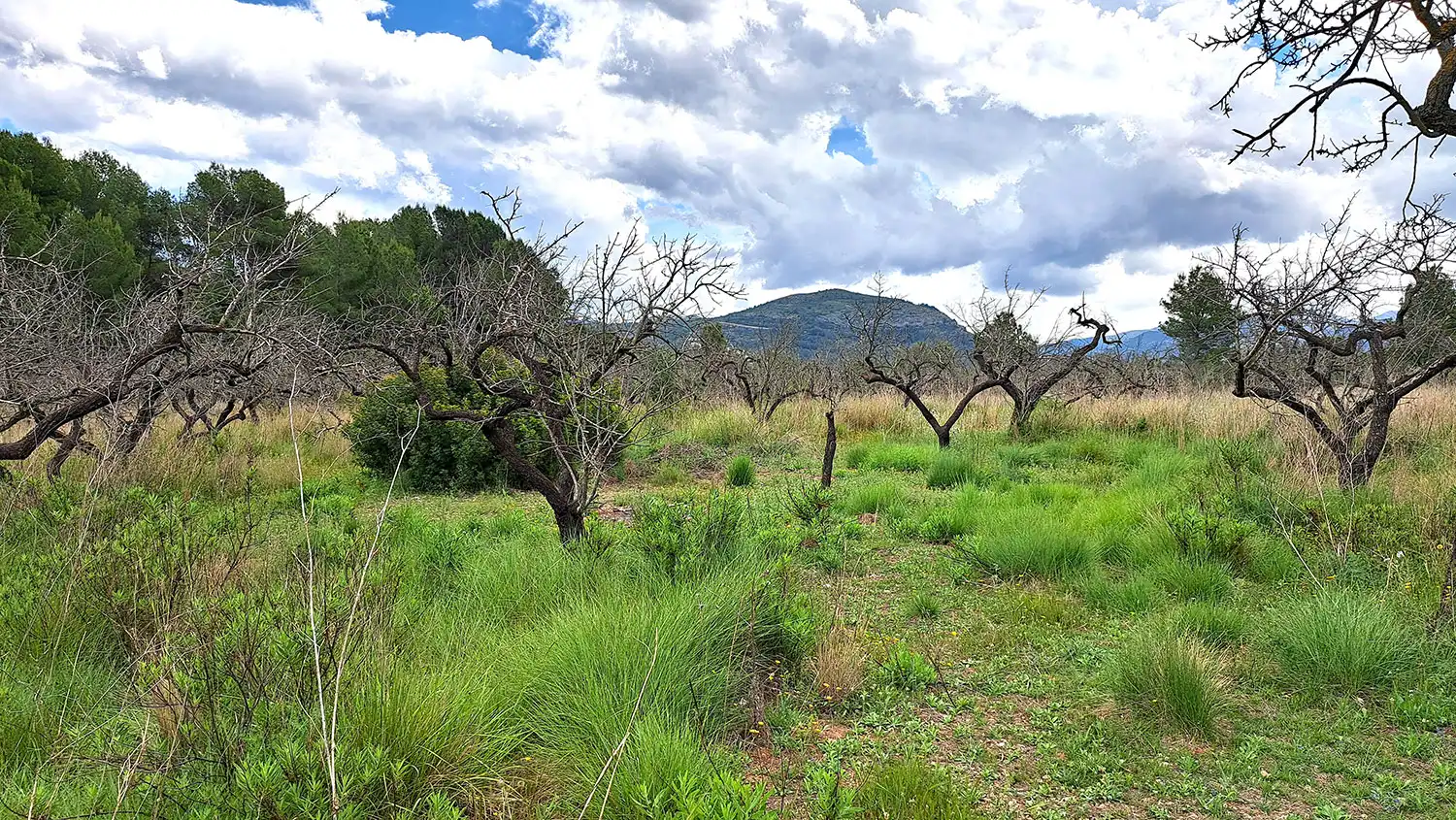 Terreny residencial en venda a Murla