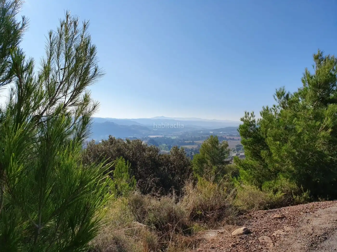 Terreno residenziale in vendita a Urbanitzacio Serrat Farre 24, imagen 5