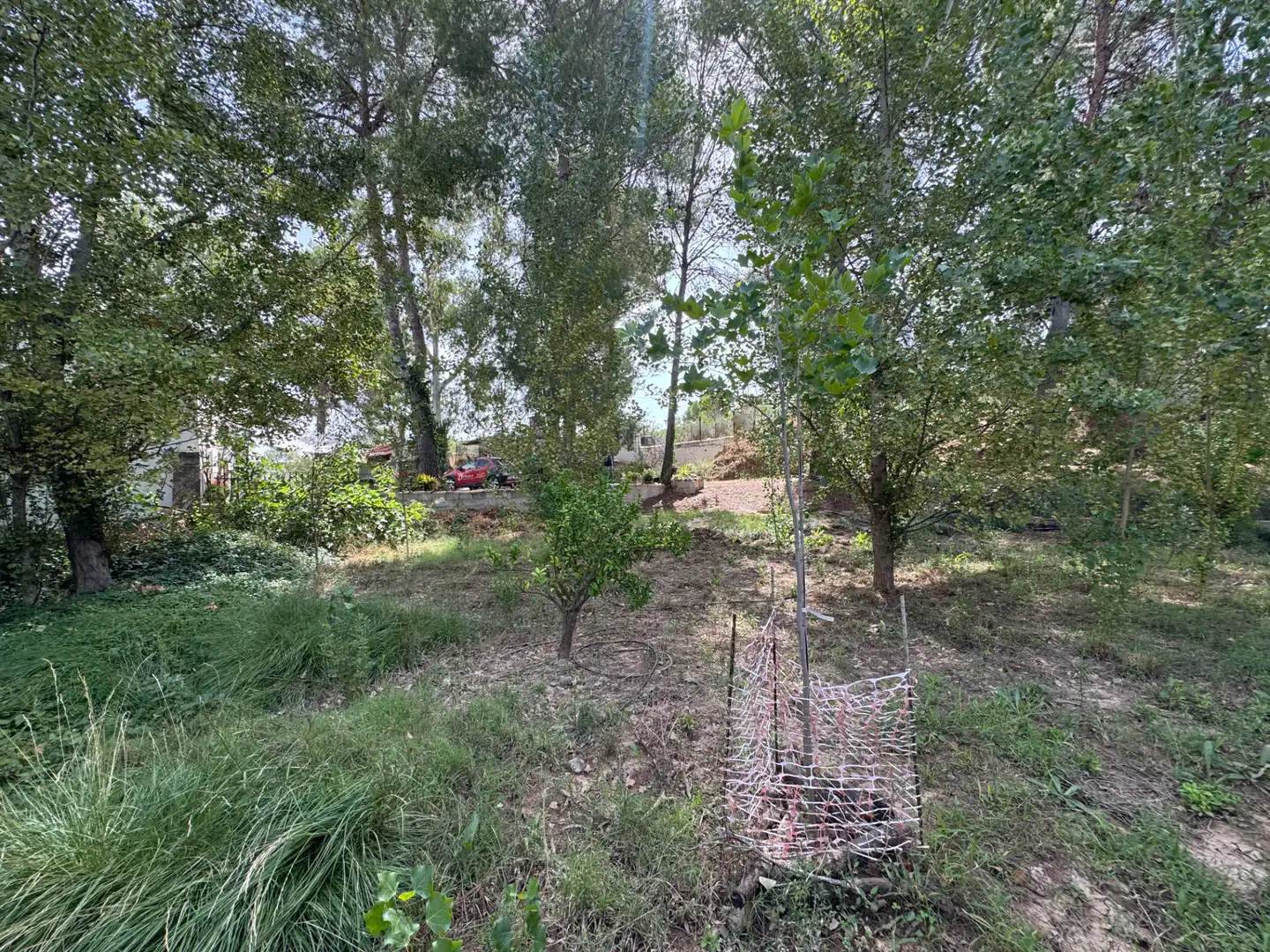 Houses for sale in Diseminado Escobar, 224, Cehegín