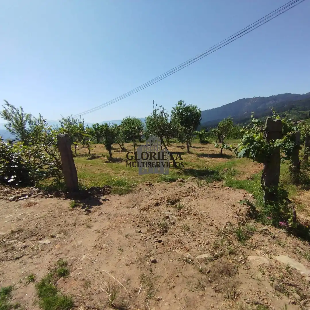 Terreny rústic en venda a Escusa (A)-Chenlo, imagen 2
