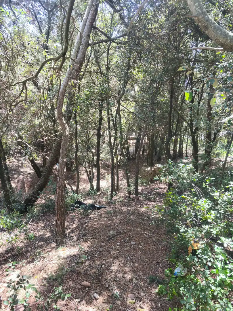 Terrain résidentiel à vendre à Carrer de la Font del Querol 19, imagen 18