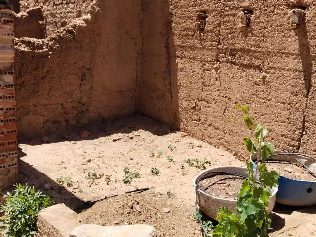 Jardín de Finca rústica en venta en Villazala