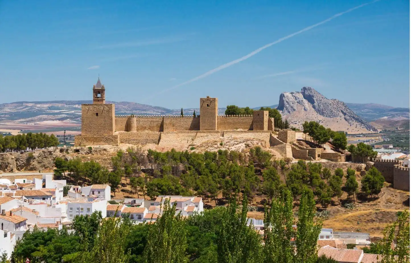 Lands and plots for sale in Zona de la Vega, imagen 5