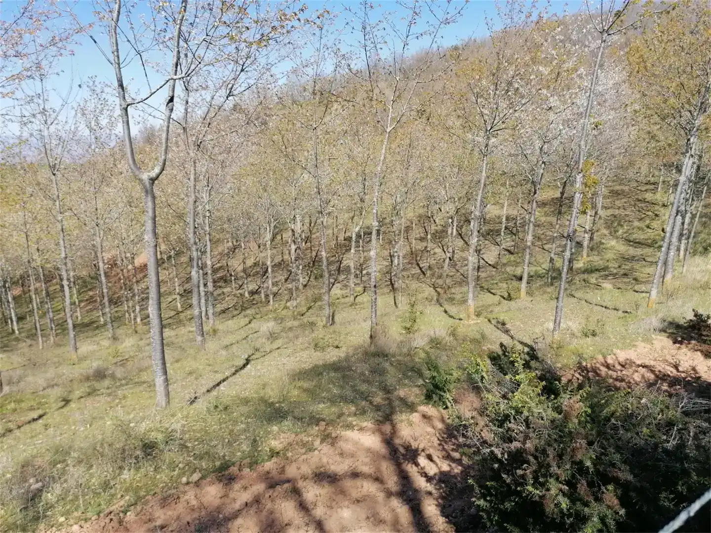 Terreno en venta en San Millán de la Cogolla, La Rioja