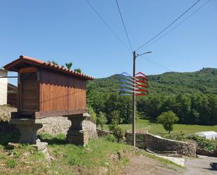 Vista exterior de Finca rústica en venda en Paderne de Allariz