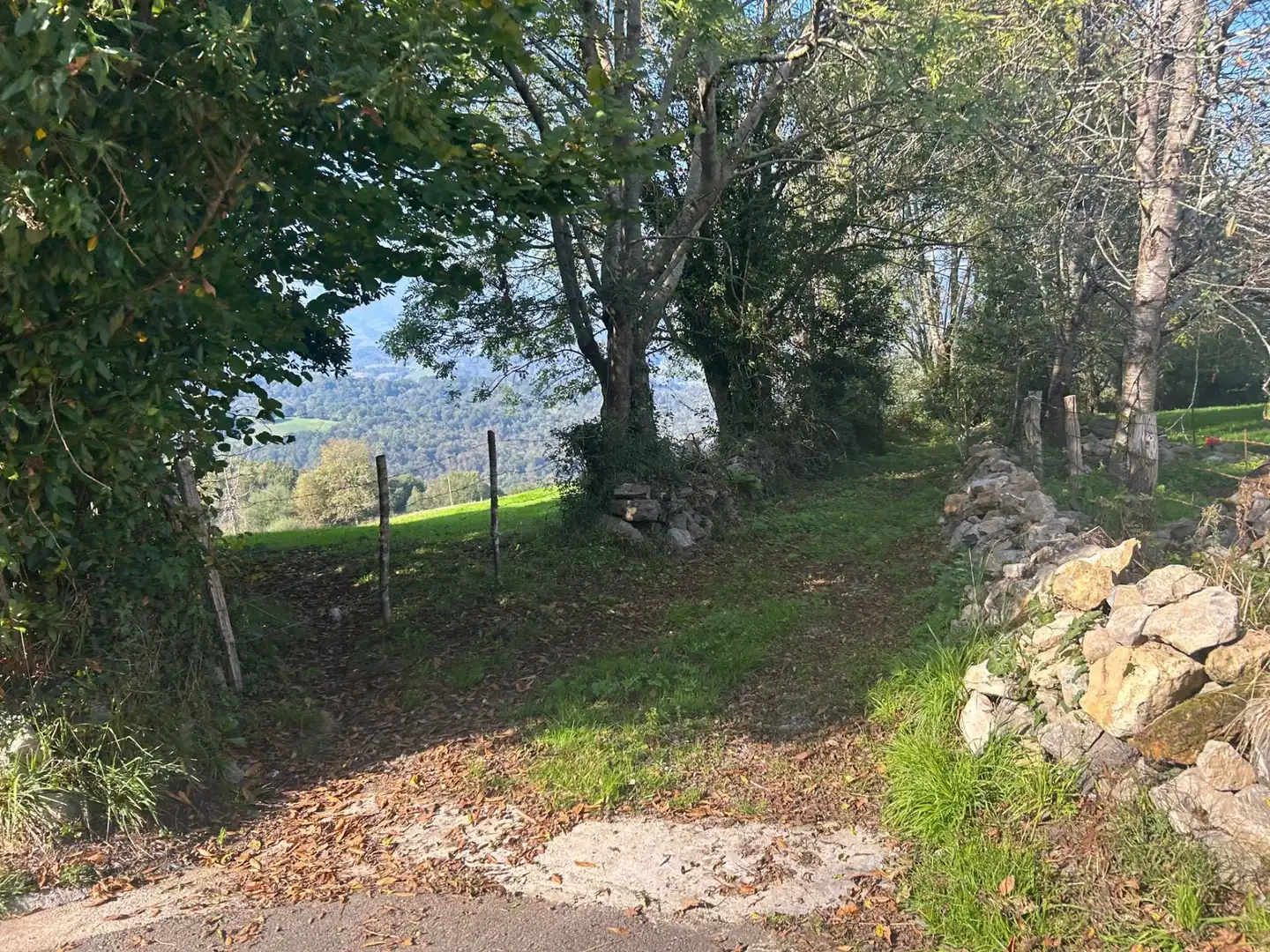 Terrenos y solares en venta en Parres, imagen 21