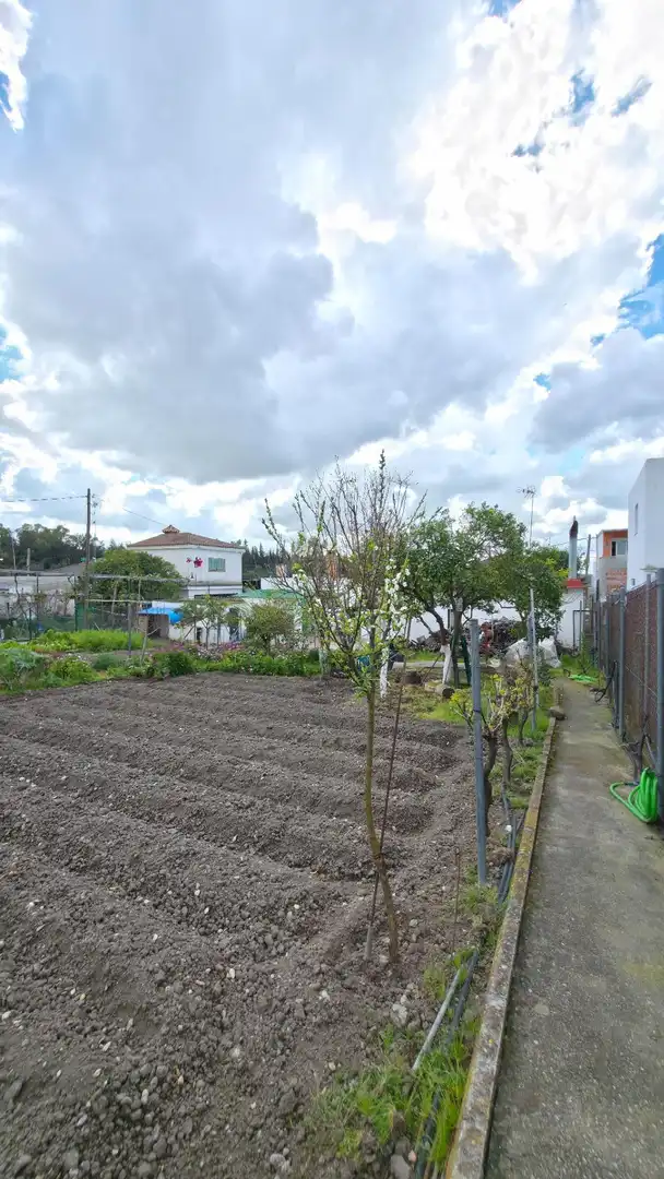 Garden of Houses for sale in Arcos de la Frontera  with Private garden and Storage room