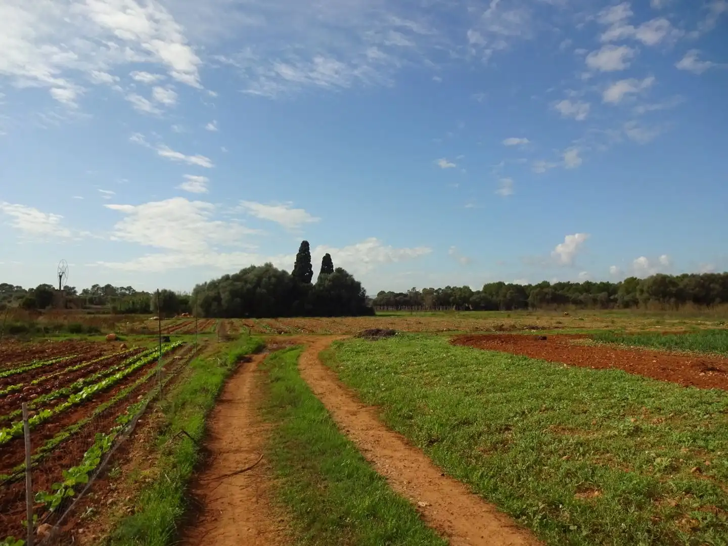 Finca rústica en venta en  Palma de Mallorca