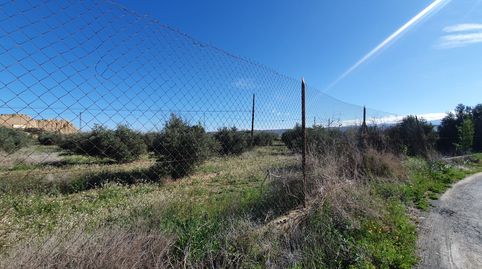 ESPECTACULAR FINCA DE OLIVOS , VALLADA EN GUADIX, immagine 3