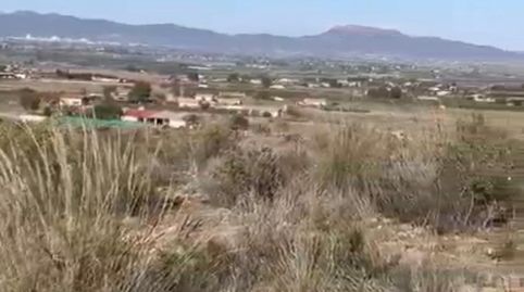 FINCA RÚSTICA DE 28.000 CON CASA EN LA GALERA, PURIAS, immagine 2