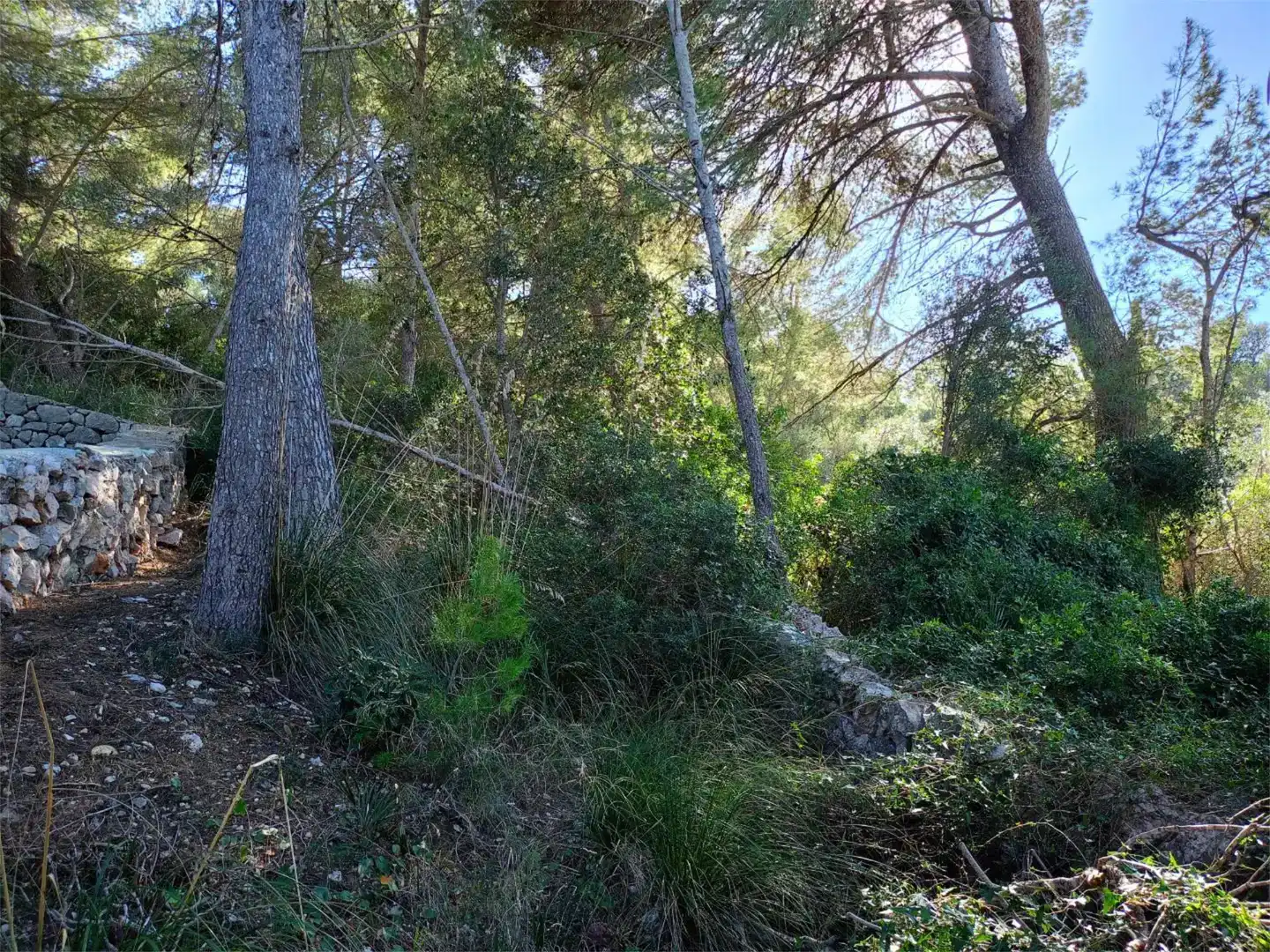 Terreno en venta en Capdepera