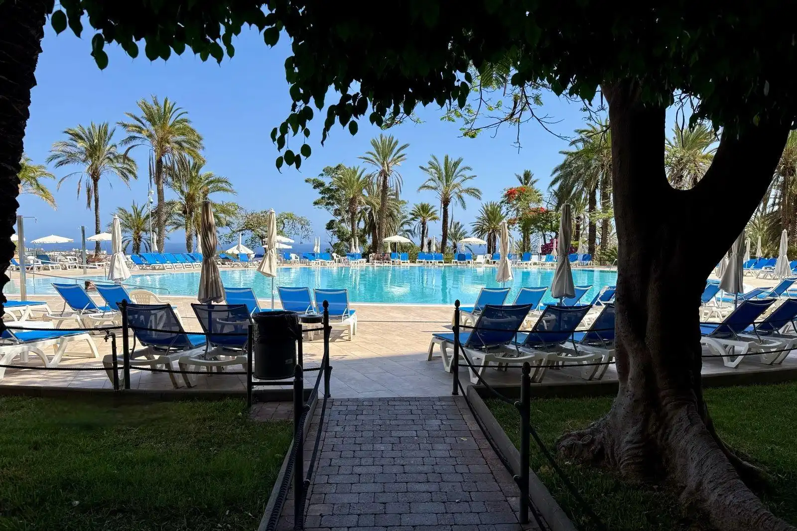 Swimming pool of Apartments for sale in Adeje  with Community pool
