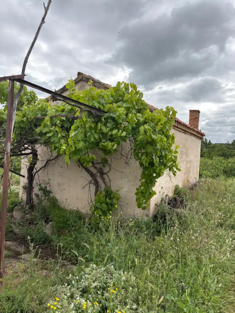 Terrenys i solars en venda a Alberite, imagen 11