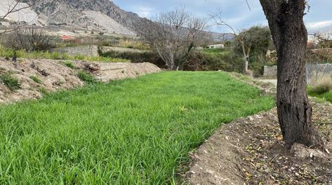 Bonita finca rústica de regadío con CARAVANA INCLUIDA  ,con casi 3,000 m2 y en unas de las mejores zonas de Dúrcal, cerquita del p, immagine 5