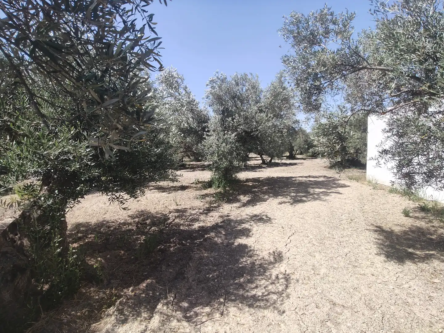 Houses for sale in Baza, Granada