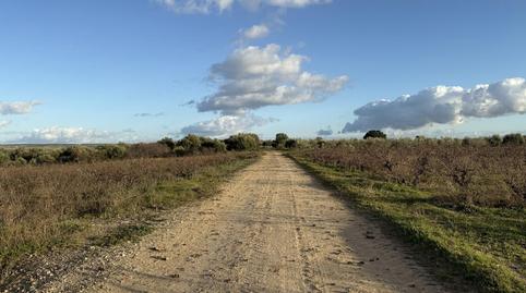Foto 2 de Residencial en venda a Bollullos Par del Condado, Huelva