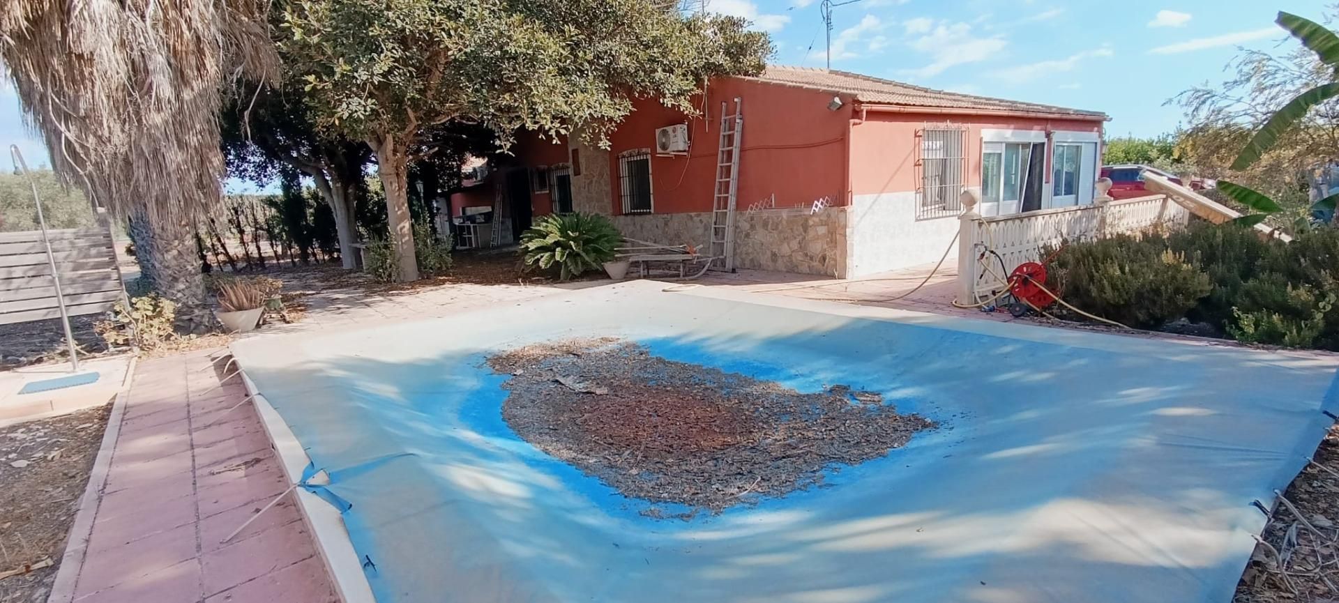 Swimming pool of House or chalet for sale in Elche / Elx  with Air Conditioner, Heating and Private garden