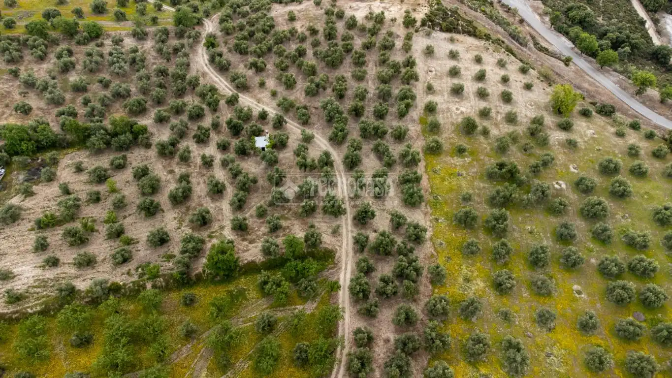 Terreni e lotti in vendita a Albaicín, imagen 19