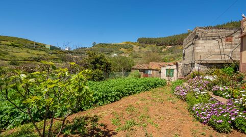 Foto 4 de Casa o chalet en venta en C. Galas, 64, -1, Vega de San Mateo, Las Palmas