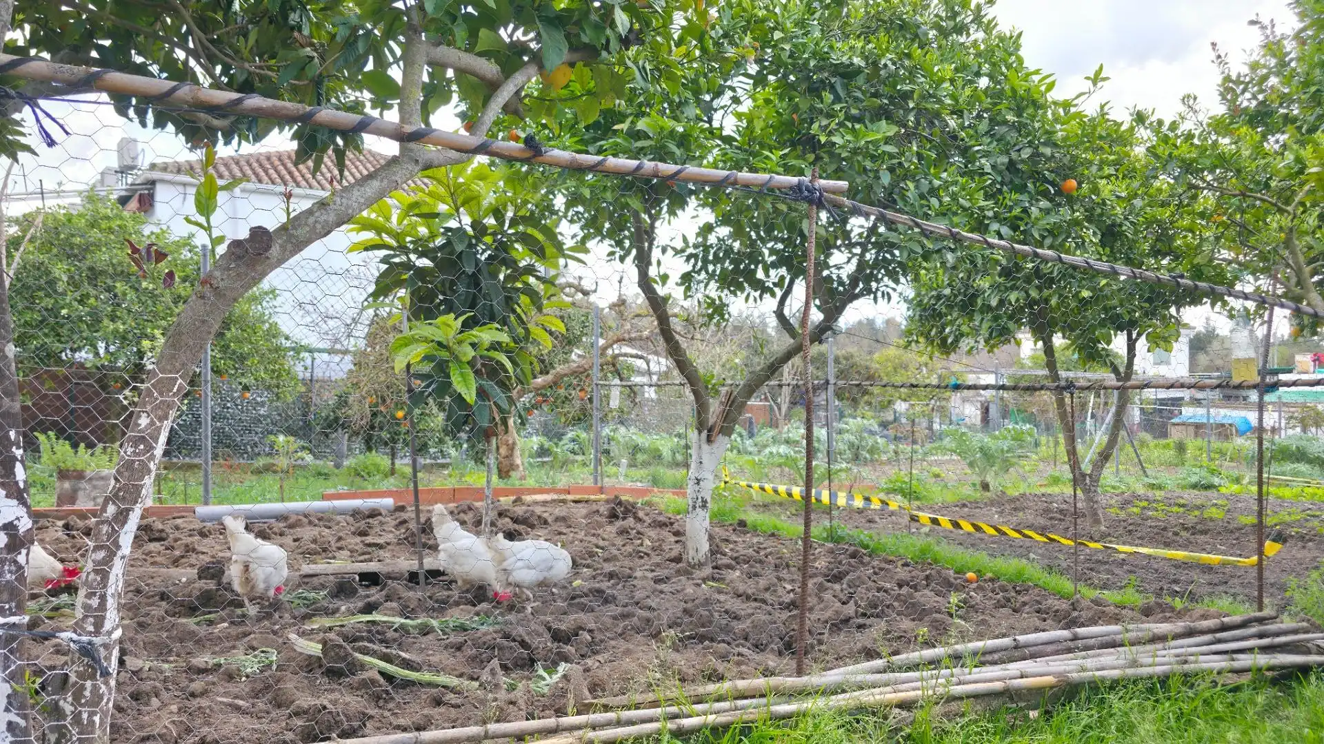 Garden of Houses for sale in Arcos de la Frontera  with Private garden and Storage room
