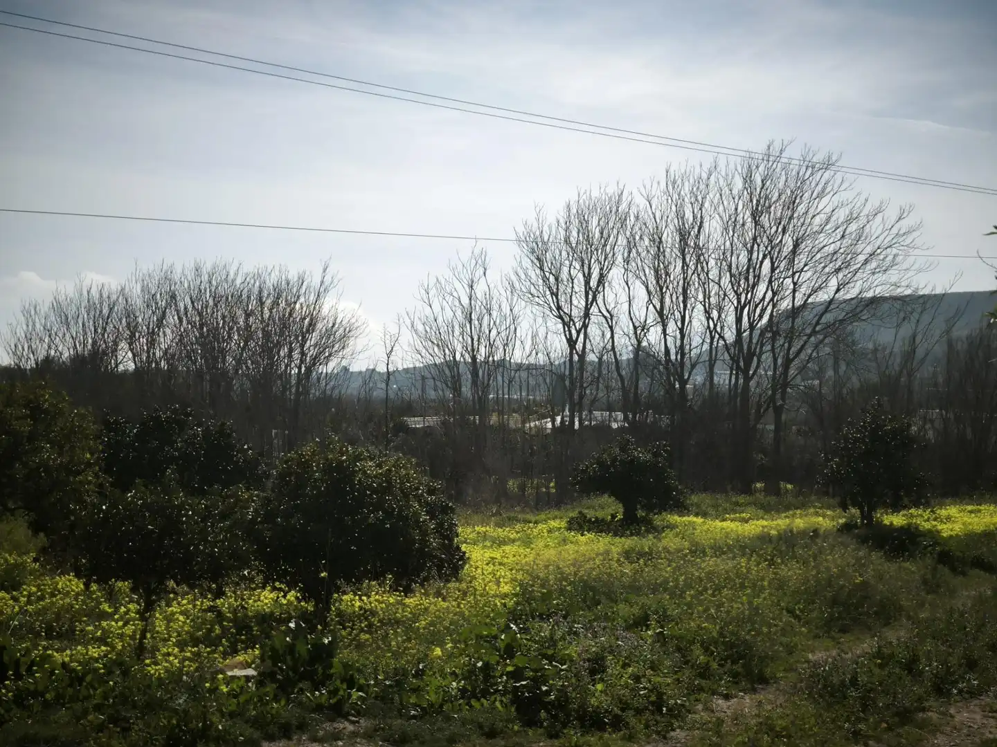 Lands and plots for sale in Gádor, imagen 29