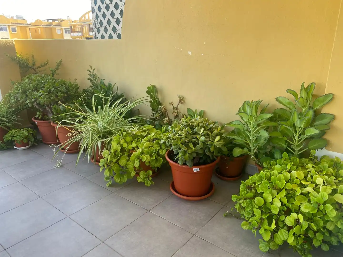 Appartement compact avec piscine à vendre à Avinguda Borrons 14, imagen 9