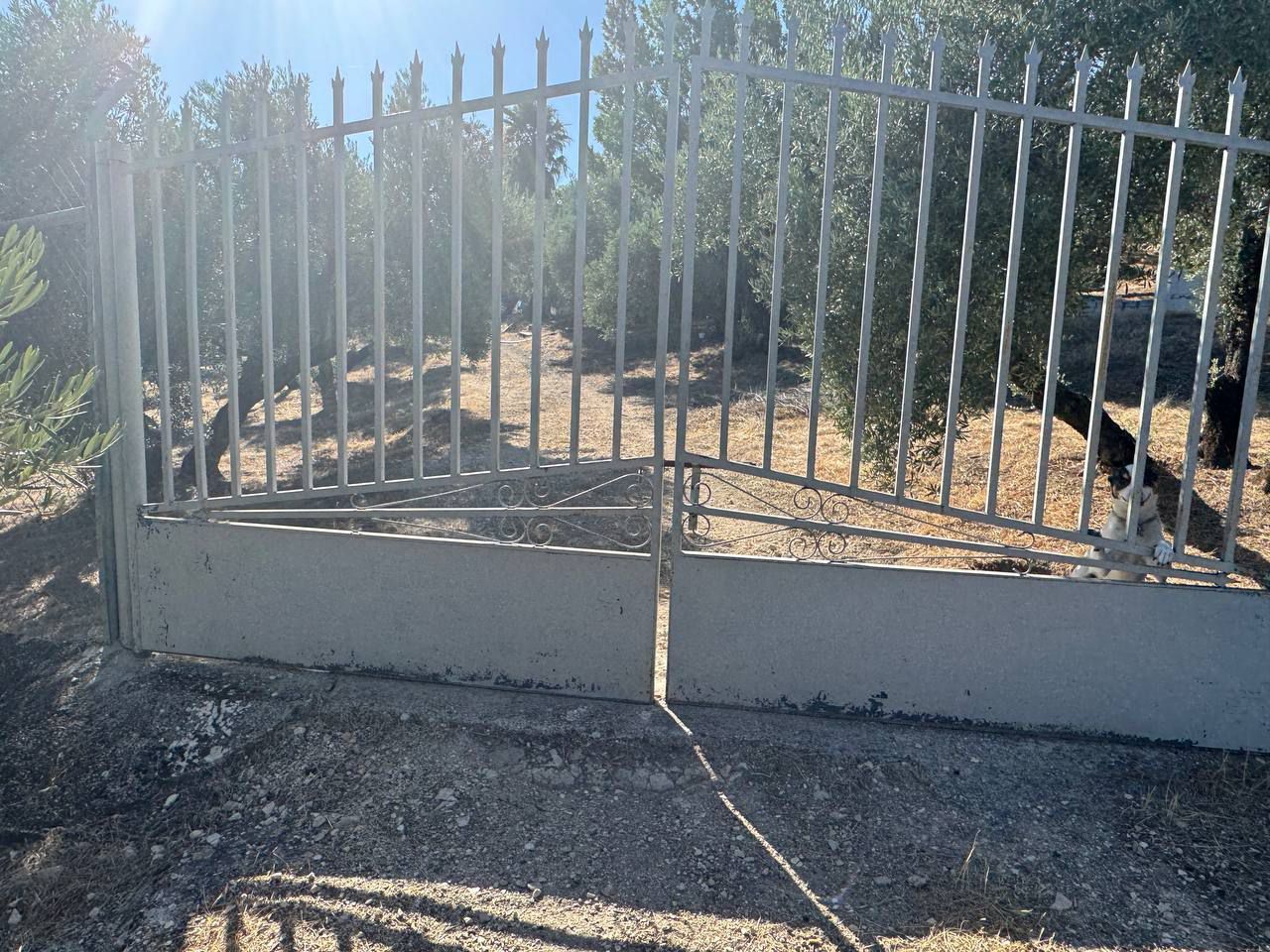 Finca rústica en venda en Torredonjimeno