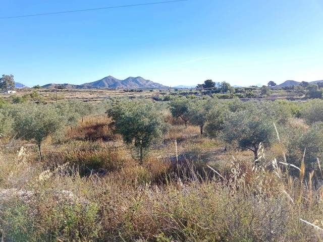 Terreno en Venta en Rebolledo