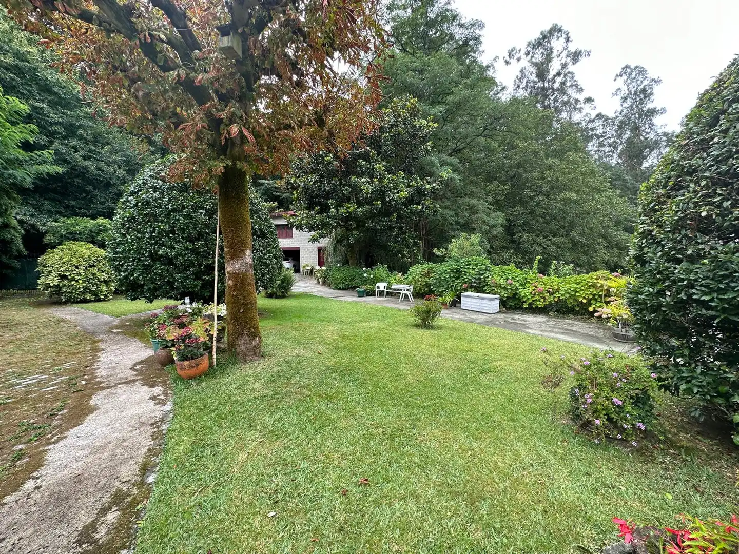 Casa in vendita a Noveledo 6, imagen 44