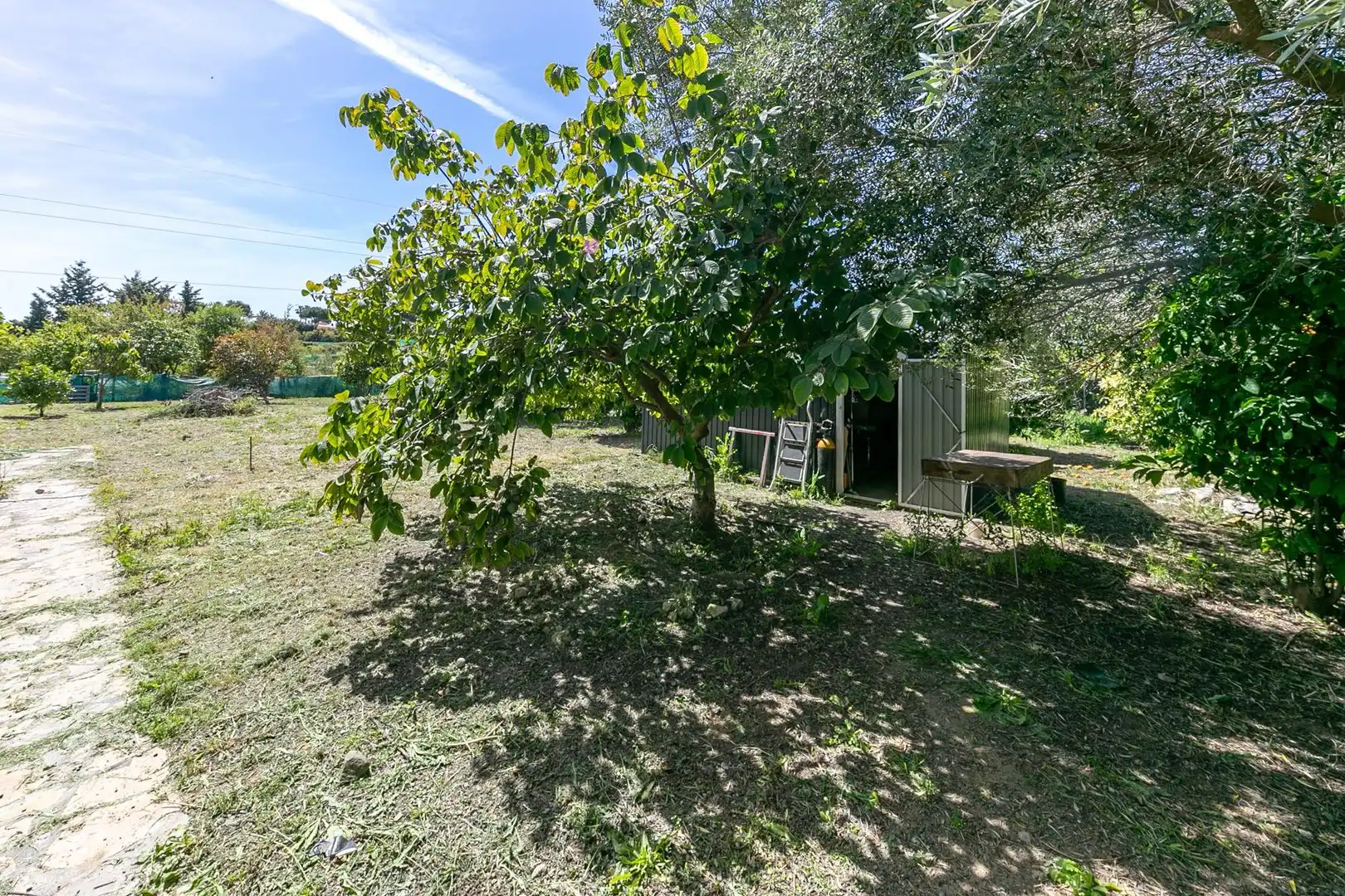 Country homes for sale in Polígono 23 Parcela 308 HUERTA LOS SACRISTAN. EST, 23, Las Lomas