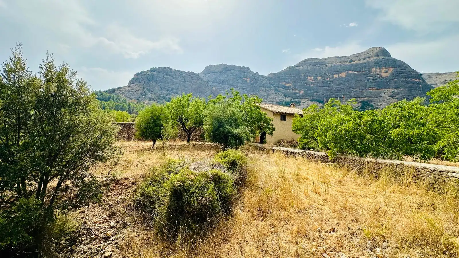Rural land for sale in Horta de Sant Joan, imagen 16
