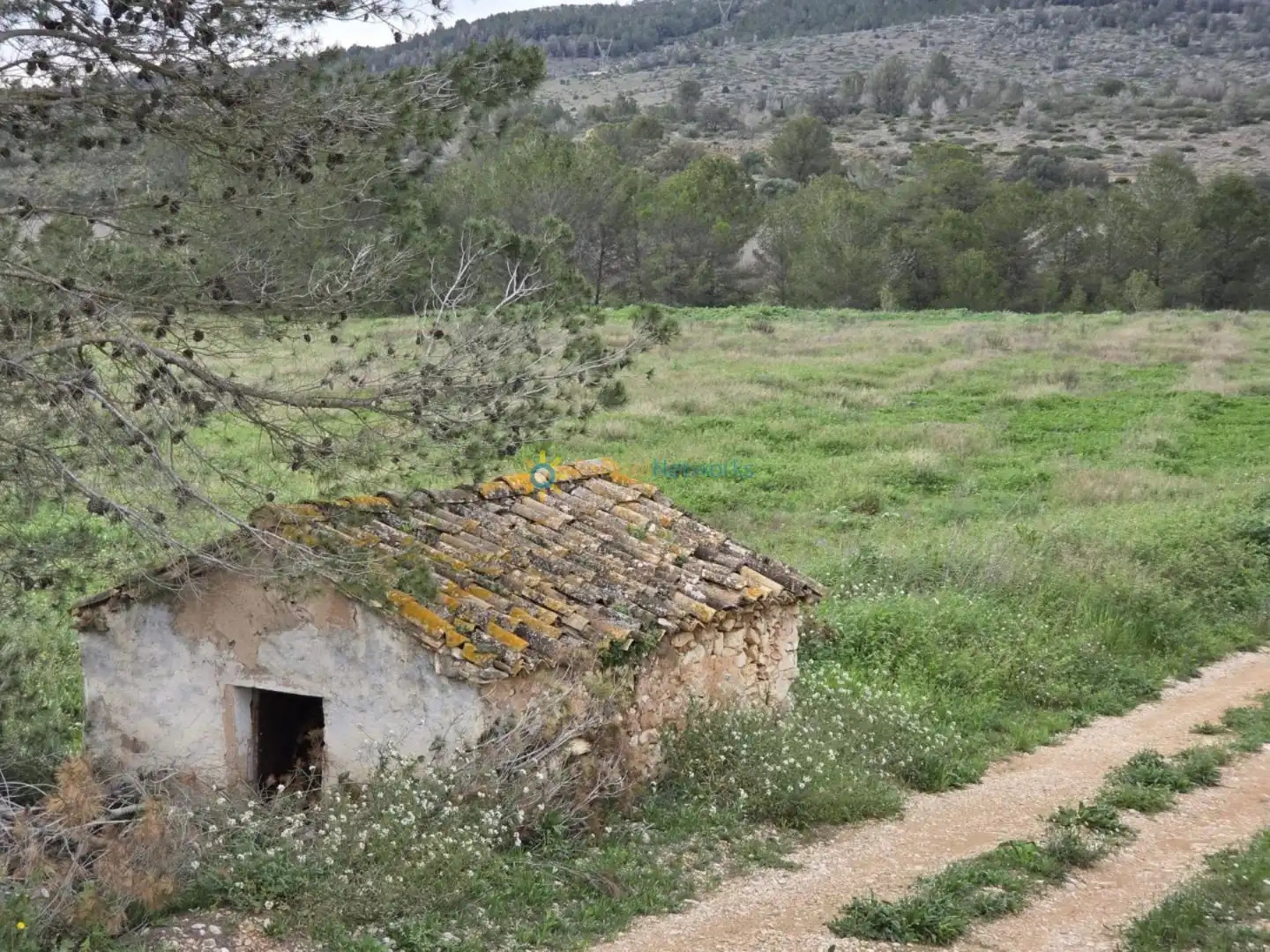 Jardín de Terreno en venta en Benigànim