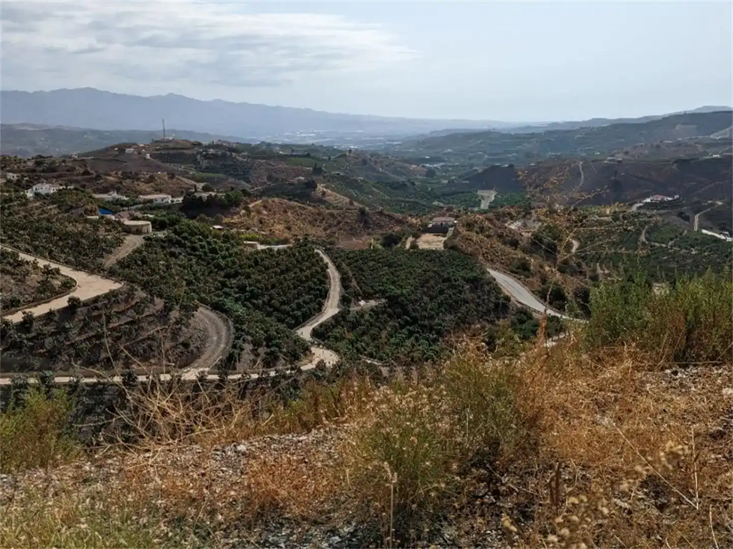 Vista exterior de Finca rústica en venda en Almáchar