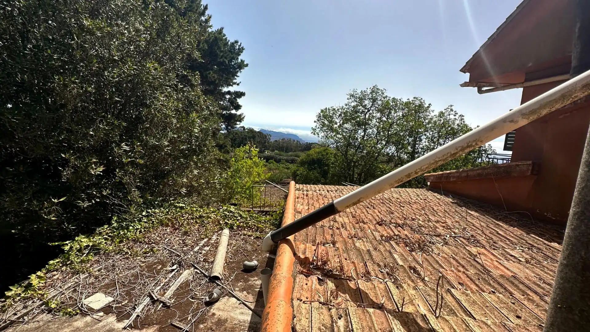 Jardín de Finca rústica en venta en El Rosario con Jardín privado, Terraza y Alarma
