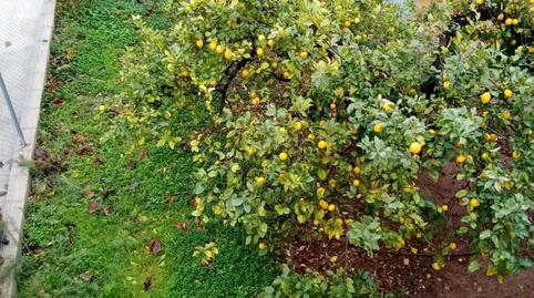 Foto 4 de Finca rústica en venta en Avenida Pais Valencia, 4, Sellent, Valencia