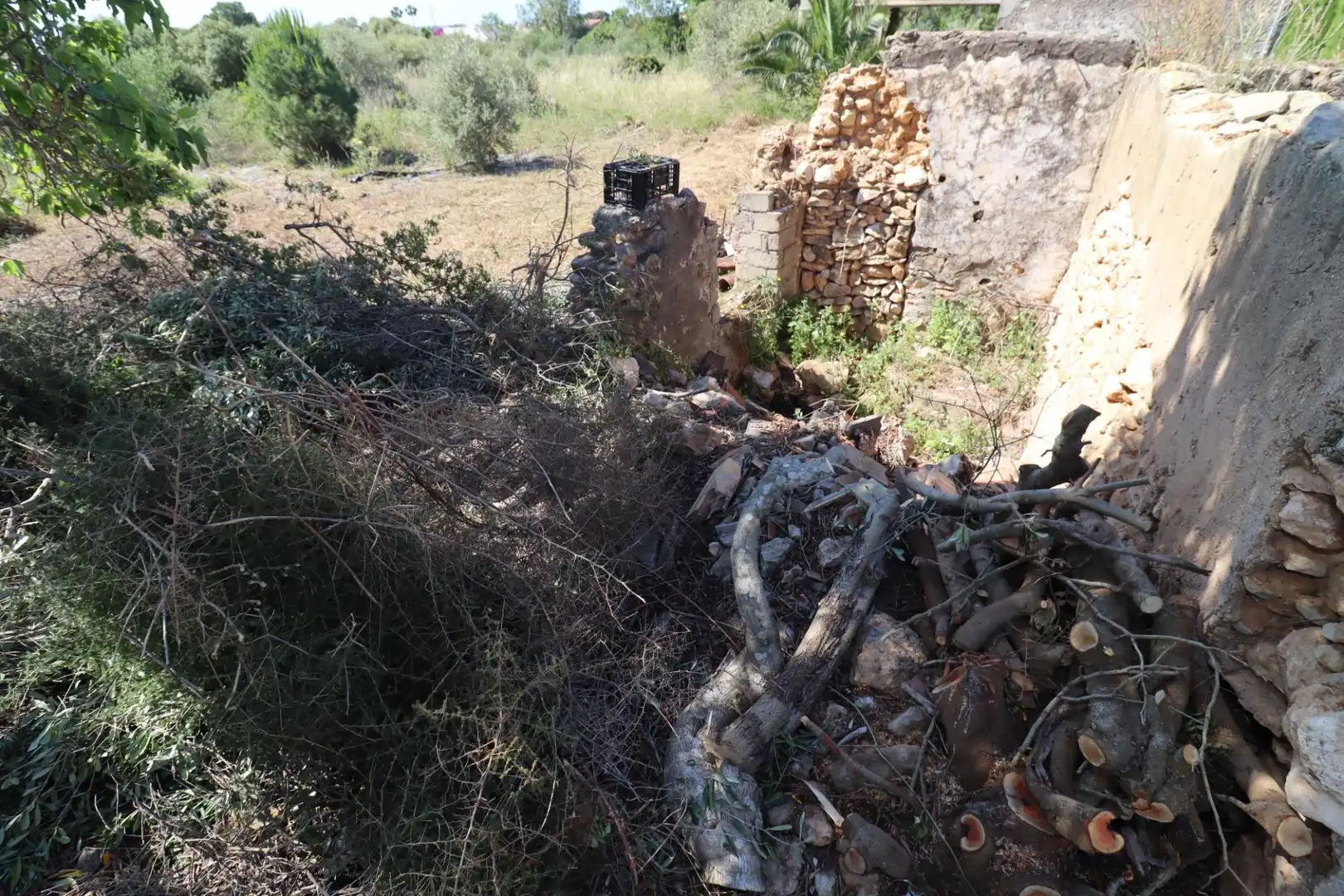 Terreno rustico in vendita a Alcanar, imagen 10