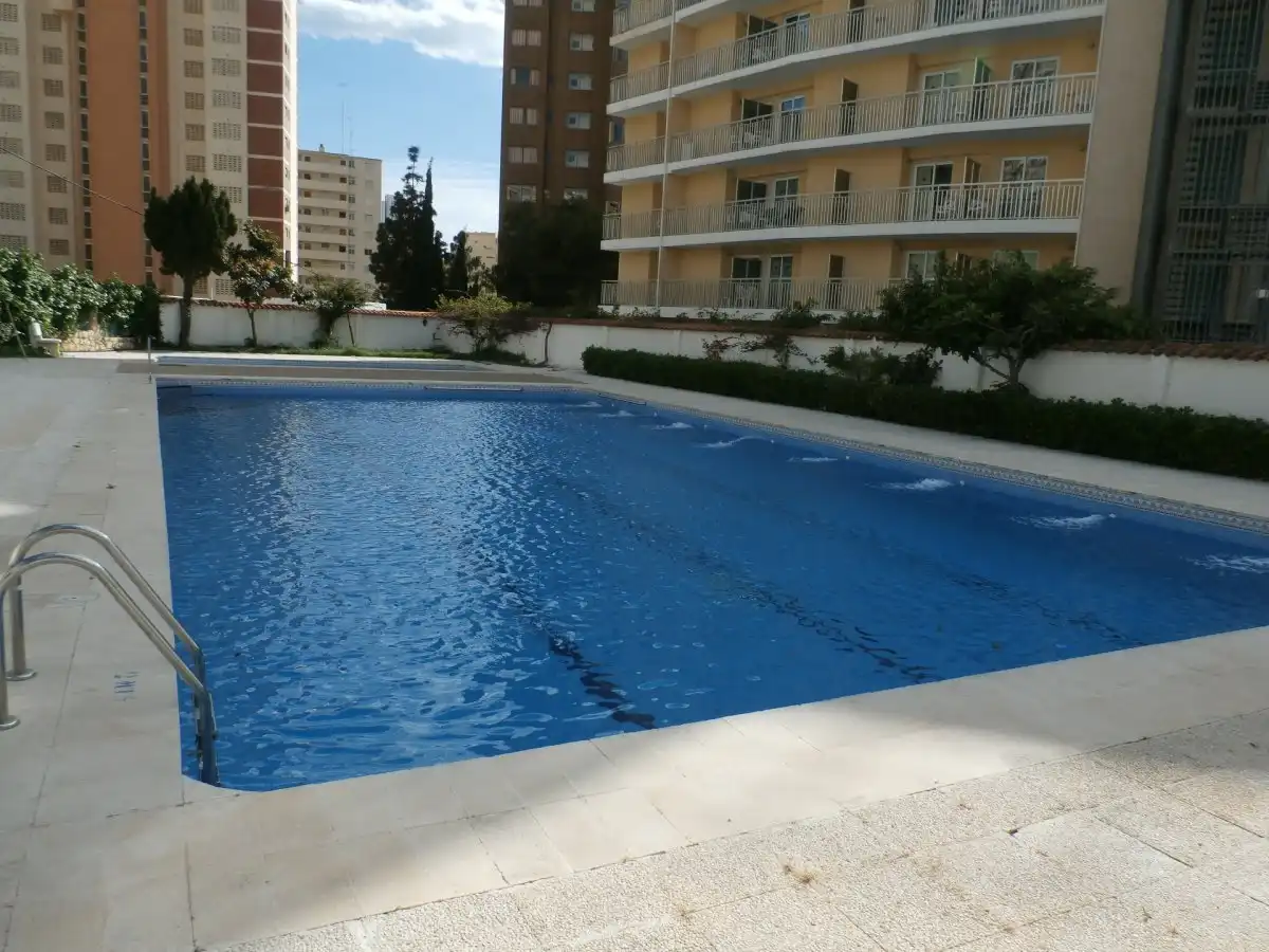 Swimming pool of Apartments for rent in Benidorm  with Private garden and Community pool