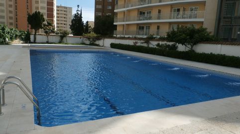 Photo 3 of Apartments for rent in Rincón Alto, Benidorm