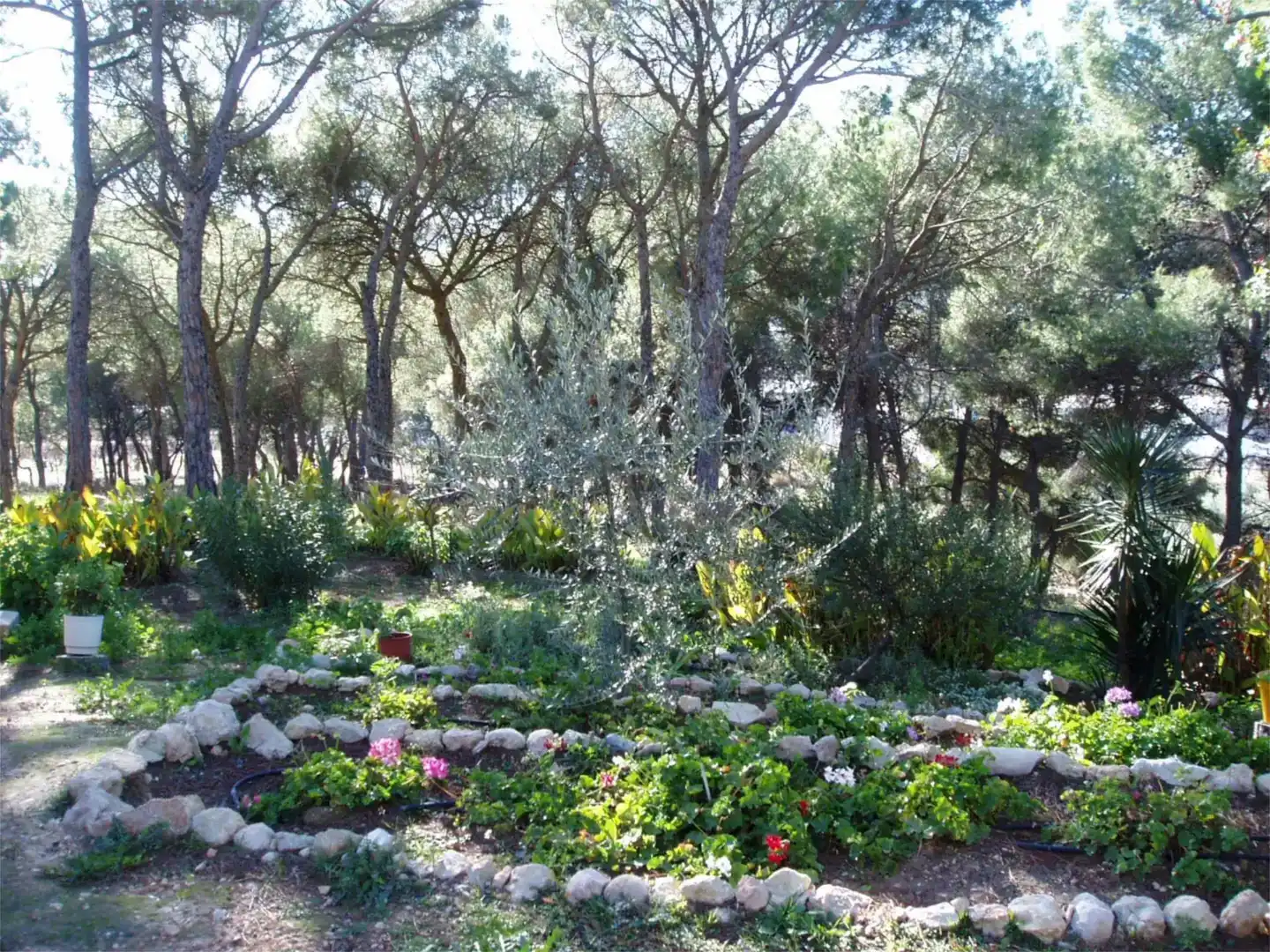 Jardí de Finca rústica en venda en Onil amb Piscina i Balcó