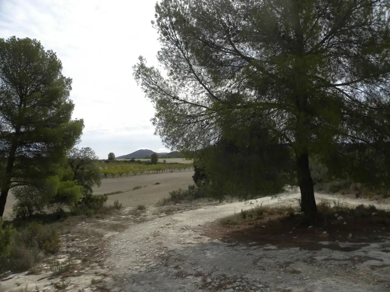 Terreno residencial en venta en Caravaca de la Cruz, imagen 2