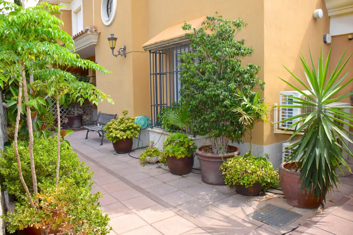 Maison mitoyenne à vendre à Río Real - Los Monteros, imagen 24