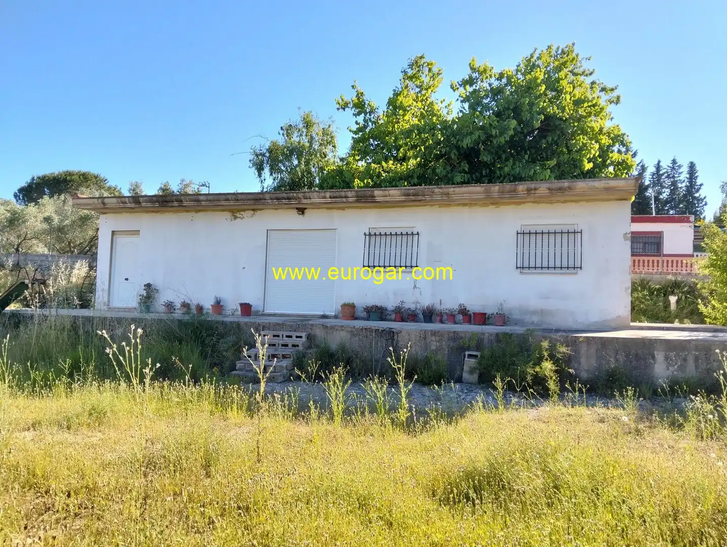 Finca rústica en venda en Chiva